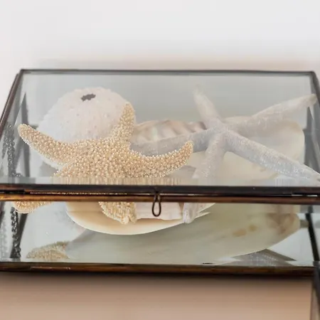 Beachfront With Sauna *