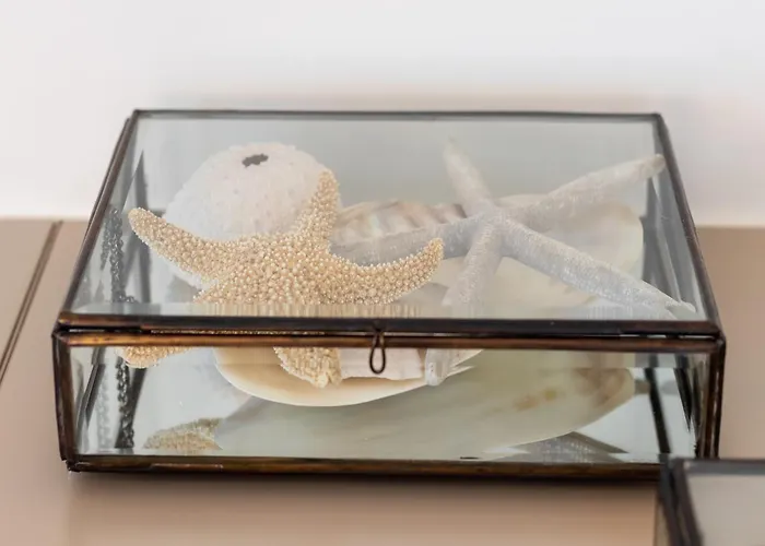 Beachfront With Sauna *